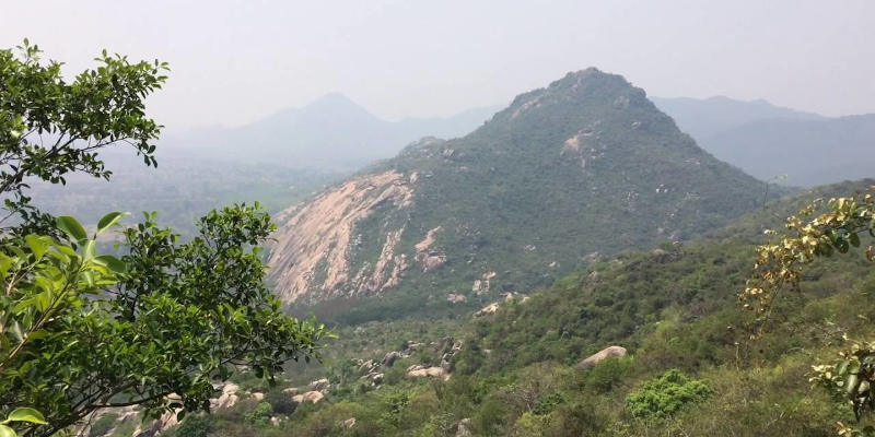 नीलगिरि - बालासोर